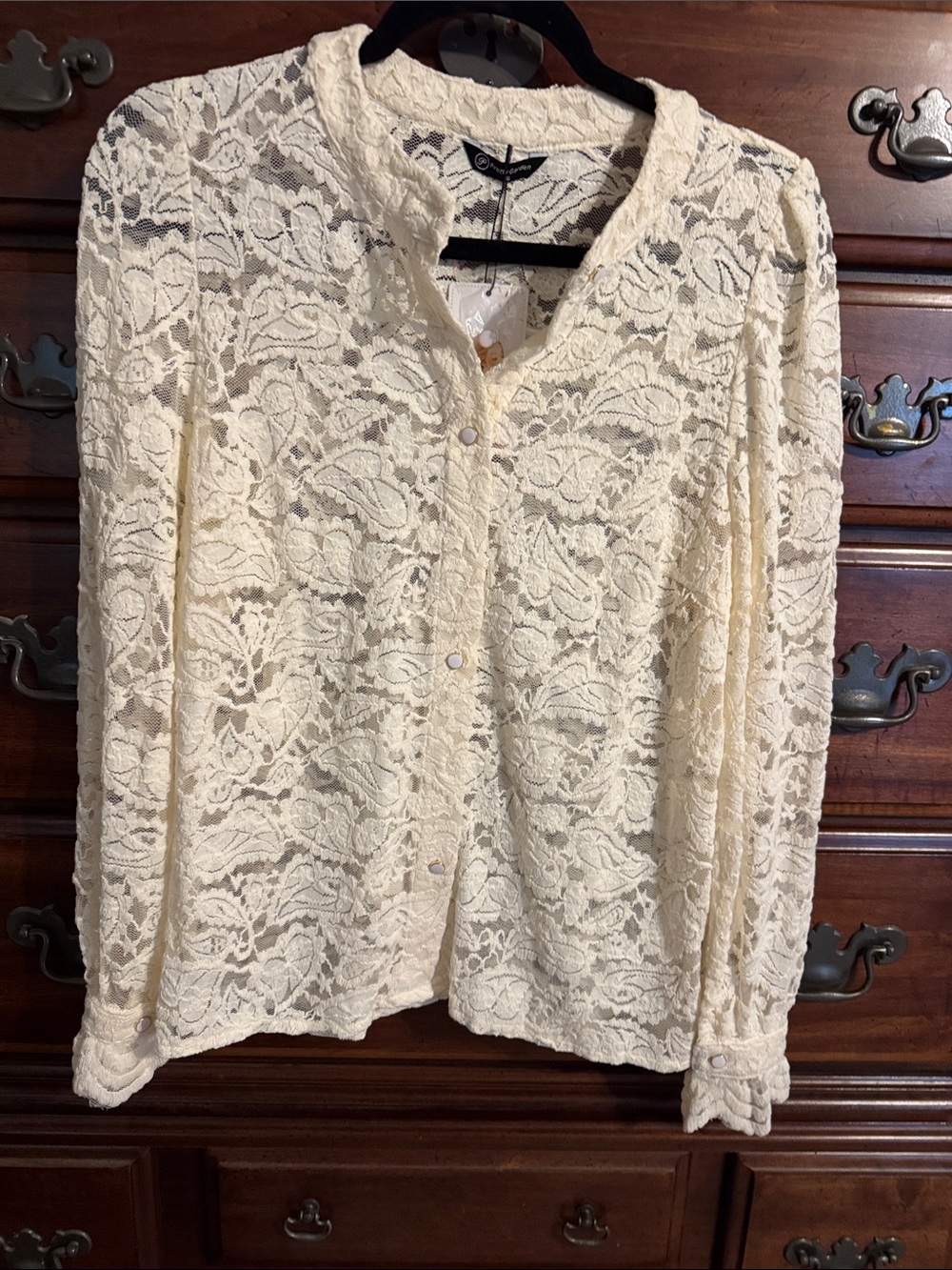 Pretty Garden Cream Lace Button-Front Blouse